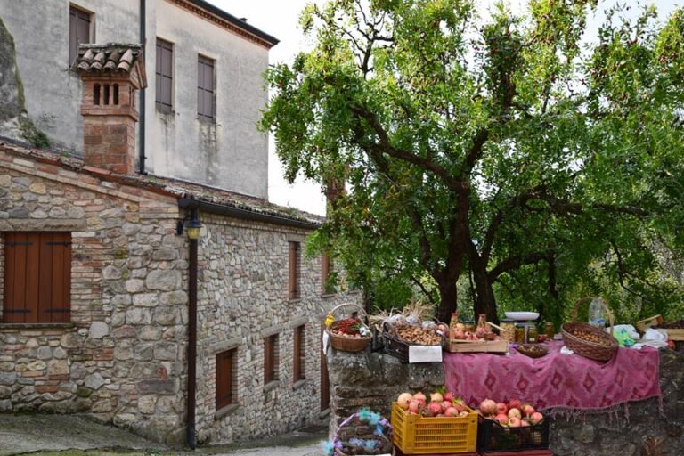 FOTO 8 giuggiole e non solo